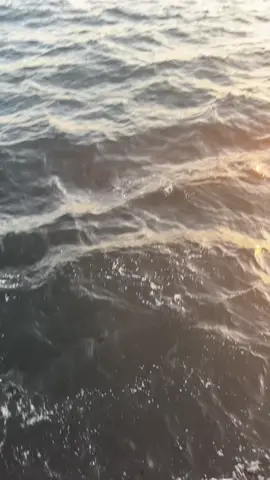 #pelautindonesia#sunsetvibes#kapaltagbuot#fyppppppppppppppp#kapaltongkang 