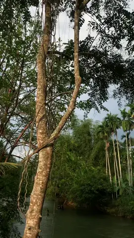 #fypシ゚viral #jamviraltiktok #jamzunpai 