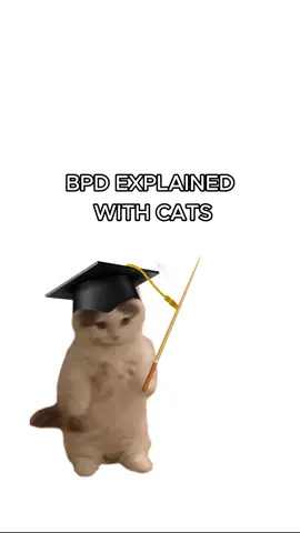BPD kitty just needs gentle love! #cats #catsoftiktok #kittycats #ranking #kitties #sillycats #funnycats #bpd #borderlinepersonalitydisorder 