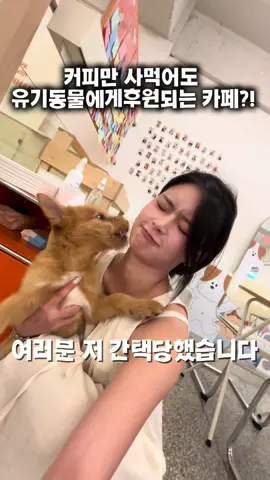 *심멎주의* 커피한잔만 마셔도 유기견에게 기부가 된다구요⁉️🐶 서울에 이런 곳이 있다니…💗 여기는 단순한 카페가 아닌 귀여운 댕댕이들도 보고 커피도 마실수있는 😋 유기견들에게 가족을 찾아주는 입양 홍보 카페예요🐾 ⠀ ✨메뉴 하나만 주문해도 받은 코인을 저금함에 넣으면 사료 후원이 되고, 귀여운 굿즈를 구매해도 그 수익금이 전부 유기동물을 위해 쓰인다는 사실!🐕 ⠀ 따스하다 따스해....❤️ 🦴 직접 산책 봉사도 가능하고 진지하게 입양을 고민해볼 수도 있어요 ⠀ 유기견들이 사랑받는 하루를 보낼 수 있도록 우리의 작은 관심이 큰 힘이 되어줄지도 몰라요🥹 이런선한 영향력을 행사하는 카페는. 돈쭐내줘야합니다 ㅠㅠㅠㅠ💛 다들 사지말고 입양하세요🤍 귀여운 댕댕이들이 발라당 누우면서 반기는 곳😍 이번주 데이트는 여기어때요❔💗 ⠀ 📍#대흥 #포인핸드 경의숲점 @pawinhand_culture  ㄴ서울 마포구 대흥동 325-14 ⠀ @@귀여운 강쥐들 보러 가자… 진심으로… 강추…🤍 ⠀ #puppy #pet #abandoneddog #유기견카페 #입양카페 #유기동물후원 #포인핸드 #마포카페 #합정카페 #홍대카페 #강아지 #강아지카페 #선한영향력카페 #서울카페추천 #산책봉사 #커피로후원 #서울카페 #유기견 #유기동물 #유기견분양 #유기견보호소 #강아지일상 #사지마세요 #데이트코스 #띠혜의리뷰 #띠혜트래블 #띠혜의맛집탐방 