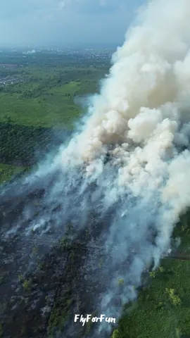 Kebakaran Lahan di Daerah Sungai Raya Dalam Ujung 13 Juni 2025 Jam 14:00 WIB #kalbar #pontianakviral #pontianakinformasi #kuburaya #kuburayainformasi #serdam #kebakaranhutan 