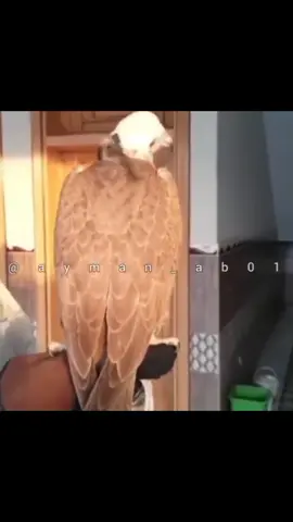 م #في هذا اليوم 