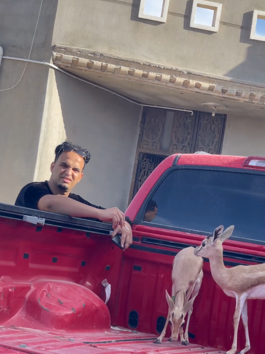 جمعتكم مباركة 🫡#اجدابيا #ليبيا #ليبيا🇱🇾 