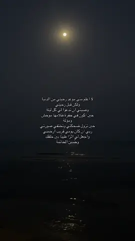 #اجر_لي_ولكم_ولوالدينا_وللمسلمين #قران_كريم #fyp 