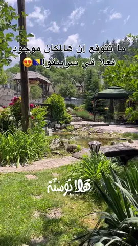 تخيّل إنك تتغدى فوق نهر جاري، بين جبال البوسنة، والهواء العليل يلفّك من كل زاوية… 😍🌿 مكان كأنه مشهد من فيلم، لكنّه مطعم حقيقي في قلب سراييفو! الإطلالة؟ أسطورية 🥰 الهدوء؟ راحة نفسية💆🏻🍃 بس إذا ودك تعرف وين هذا المكان الساحر… الرسائل مفتوحة لك 📩 . . #سراييفو #البوسنة_والهرسك #البوسنة #البوسنةوالهرسك #مطاعم #البوسنة_للعرب #سراييفو #البوسنة_و_الهرسك🇧🇦 #البوسنة_و_الهرسك #البوسنة #البوسنه #البوسنة_الهرسك 
