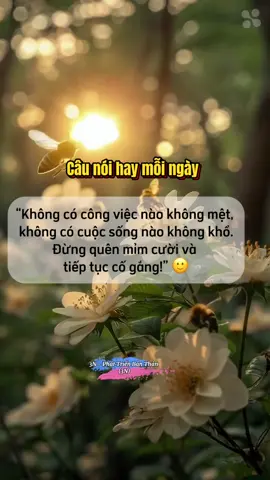 Đừng quên mỉm cười và tiếp tục cố gắng nhé ! #LearnOnTikTok #thugianmoingay #relax #phattrienbanthan #motivation #dongluc #chualanh #3N_PhatTrienBanThan #3N #thinhhanh @3N Rì Viu 