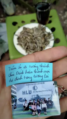 Có những ước mơ đã hình thành từ bé, có những bức hình, có những mẫu capcut đã được lưu vào danh sách yêu thích từ rất lâu nhưng để sử dụng được mẫu thì tôi phải mất tận 8 năm để chụp từng khoảnh khắc và thực hiện ước mơ của tôi!  8 NĂM KHÔNG NẢN LÒNG, KHÔNG NHỤT CHÍ!