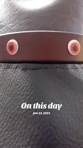 #onthisday