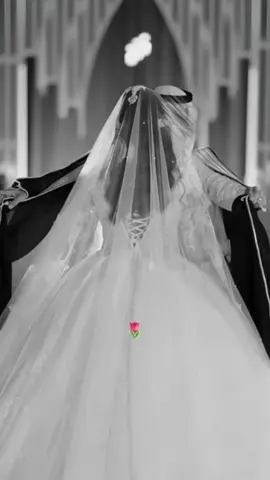 #اكسبلور 