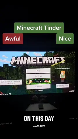 Minecraft Tinder #Minecraft #tinder 