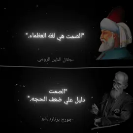 مع من تتفق؟؟..#جلال_الدين_الرومي #جورج_برناردشو #عبارات #حكم #خواطر #اقتباسات #foryoupage #viral_video #viral 