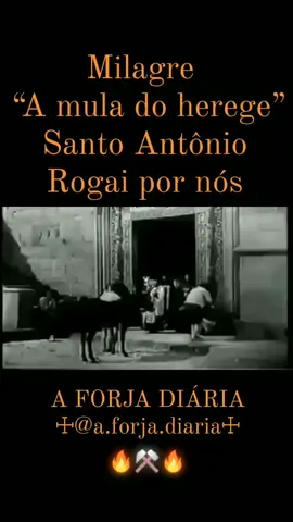 milagre da mula por Santo Antônio  #catolico #santoantonio #milagre #santoantoniodepadua #santoantoniodejesus 
