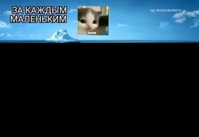 тгк: Человек-арбуз второй голос: @daemsii  #щенята #собаки #котики #котик #котики #котик #котики #щенята #собаки #котик 