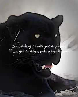 بکاتەوە...🖤
