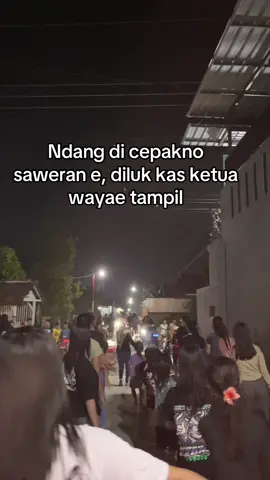 Ready Rabu 25 Juni 2025 #horegmania_official #fypシ゚viral #karnavalsoundsystem 