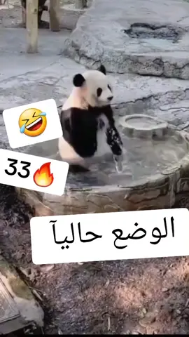 #🤣🤣🤣🤣🤣🤣🤣🤣🤣🤣🤣🤣🤣🤣🤣🤣 