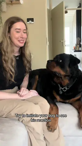 His reaction🤣 #rottweiler #dogsoftiktok #fyp 