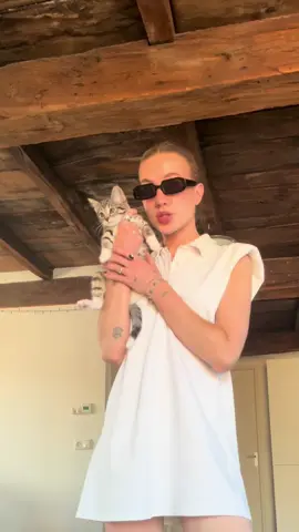 Remix van de remix #lotje #otje #kittensoftiktok @Roeland Beelen @Lil Kleine 