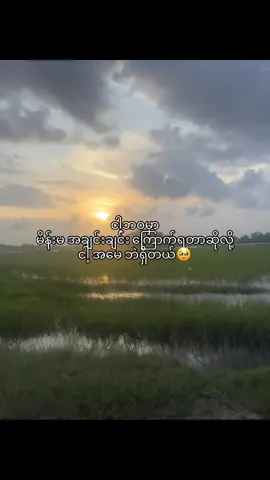 ငါ့အမေ့ကလွဲပီး ဘယ်မိန်းမမှမကြောက်ဘူး ဂရုလဲမစိုက်ဘူး😵‍💫#foryou #foryoupage 