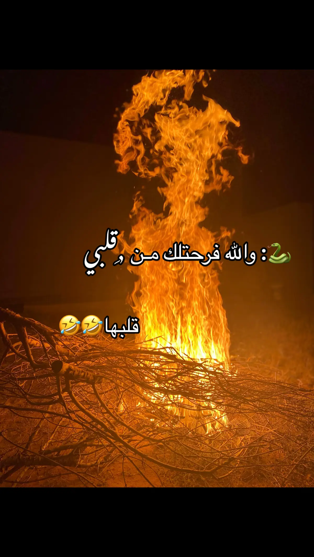 #CapCut #لايك #فولو #ترهونه #تس_تس🐍🤣 
