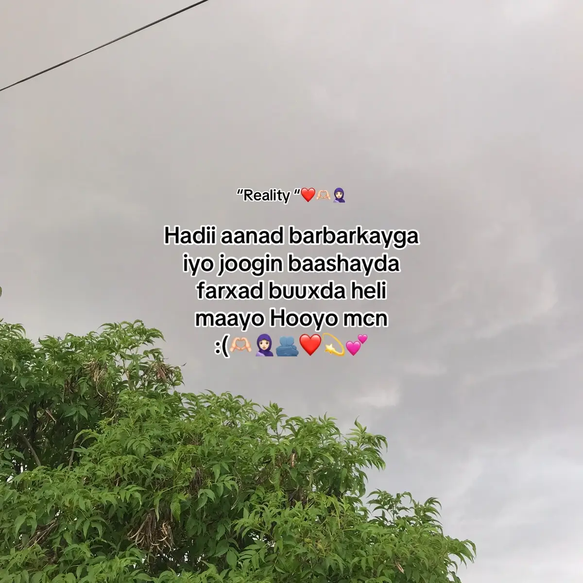 Noloshuna is bixin mayso la’anta mamo 🤦🏻‍♀️😭🧕🏻🫂