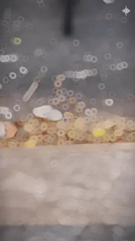 Vì sinh tồn đôi khi phải dùng dao#xuhuong #satriaf150 #xuhuongtiktok 