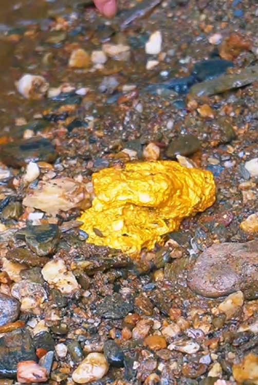 #gold #goldnugget #diamond #goldpaning #treasure #treasurefinds #milionviews #golddiscovery #goldhunter #treasurehunt #treasurehunting 