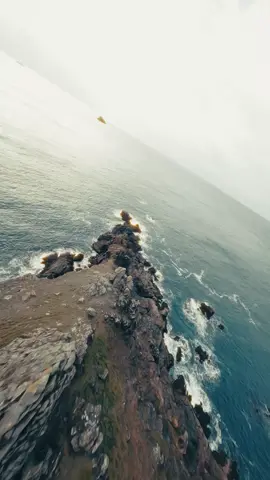 Cornwall  . #cornwall #fpv #fpvdrone 