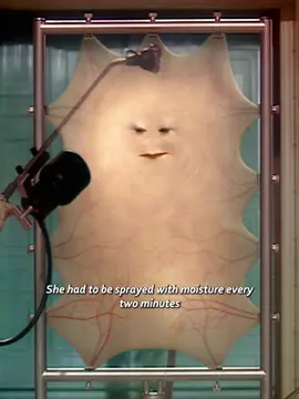 The last human on Earth was nothing more than a sheet of skin.#movie #fyp #film 