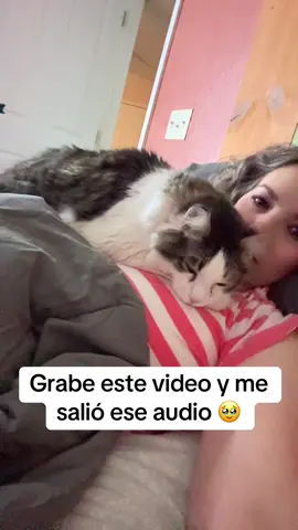 Grabe este video y TikTok me puso ese audio 🥹🫶🏻 #elchipilon #catsoftiktok #cat #michi #gato #tiktokaudios 