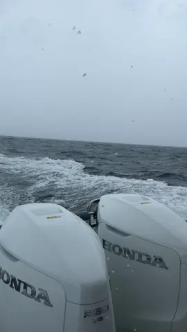 ชีวิตที่มีความสุขเกิดขึ้นจากการให้ความสำคัญกับคนที่เห็นว่าเราสำคัญ 🤍