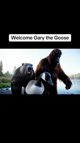 Barrie the Beaver Vlog: Gary the goose returns home #fyp #Vlog #barriebeavervlog #barriebeaver #veo3 #bigfoot #bigfootisreal #canada_life🇨🇦 #beavervlog #Outdoors #bigfootcore #garythegoose #cobrachicken #bigfootvlog 