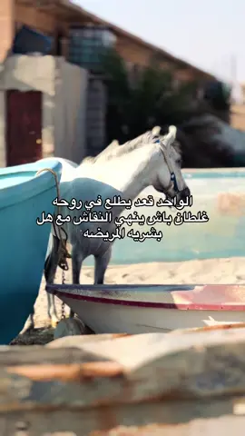 🩶✨#ليبيا🇱🇾 #اكسبلور #عبارات #اقتباسات #ليبيا_طرابلس_مصر_تونس_المغرب_الخليج #حصان 