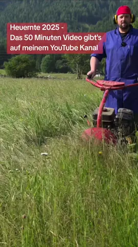 Heuernte 2025 