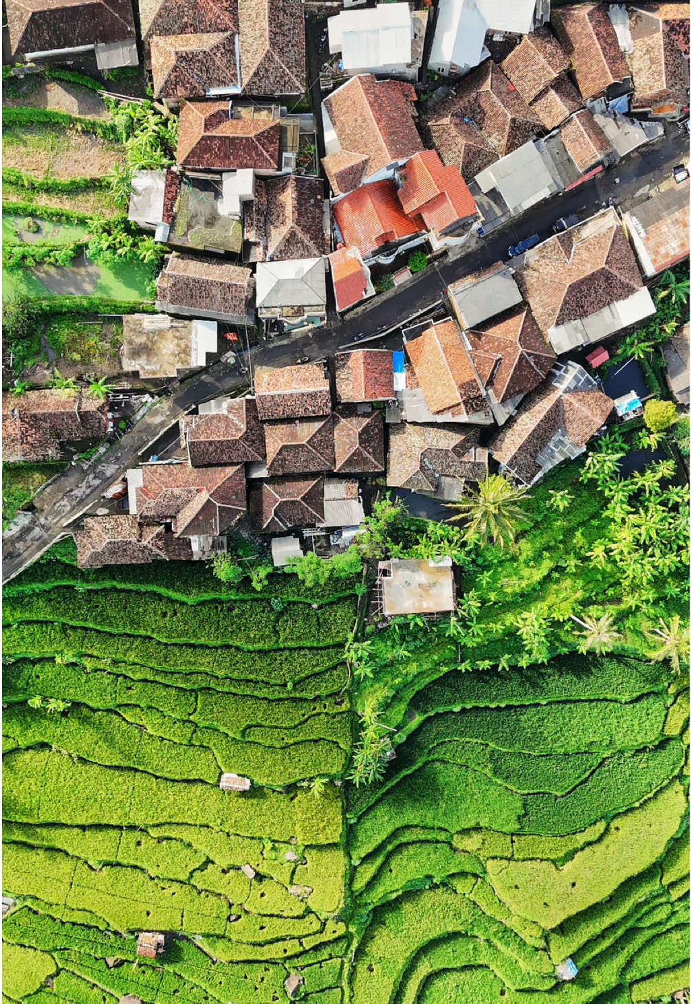 Kp pasir angin #gunungkarang#pandeglangbanten#dji#mini4pro  