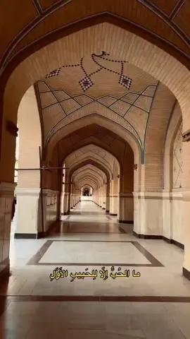 🤍✨✨✨ #اسيل🌻🍂  #fypシ゚viral🖤tiktok☆♡🦋myvideo🤗foryou✨♥️🥰  #fyyyypppppppppppppppppppppppppppppppppp 