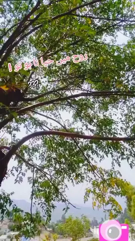 #zabardast #thanksallahforeverything🙏❤️ 