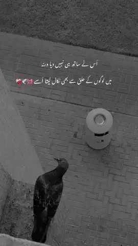 #fyp 
