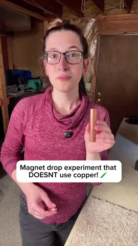 The best part about this experiment, is that the metal is non toxic and can be used for other things like weighing down papers on windy day! #DIY #womeninstem #magnets #experement 
