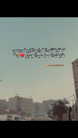 #الصحاب #fypage #fouryou #fyp #👬 