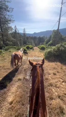 My happiest place 🫶🏻  #CapCut #happyplace #horses #horselife #blessed 