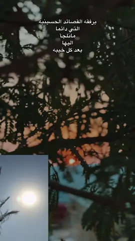 القصائد#capcut #سيدفاقدالموسوي💔💔💔 #تصوري📸 #تصميم_فيديوهات🎶🎤🎬تصميمي🔥 