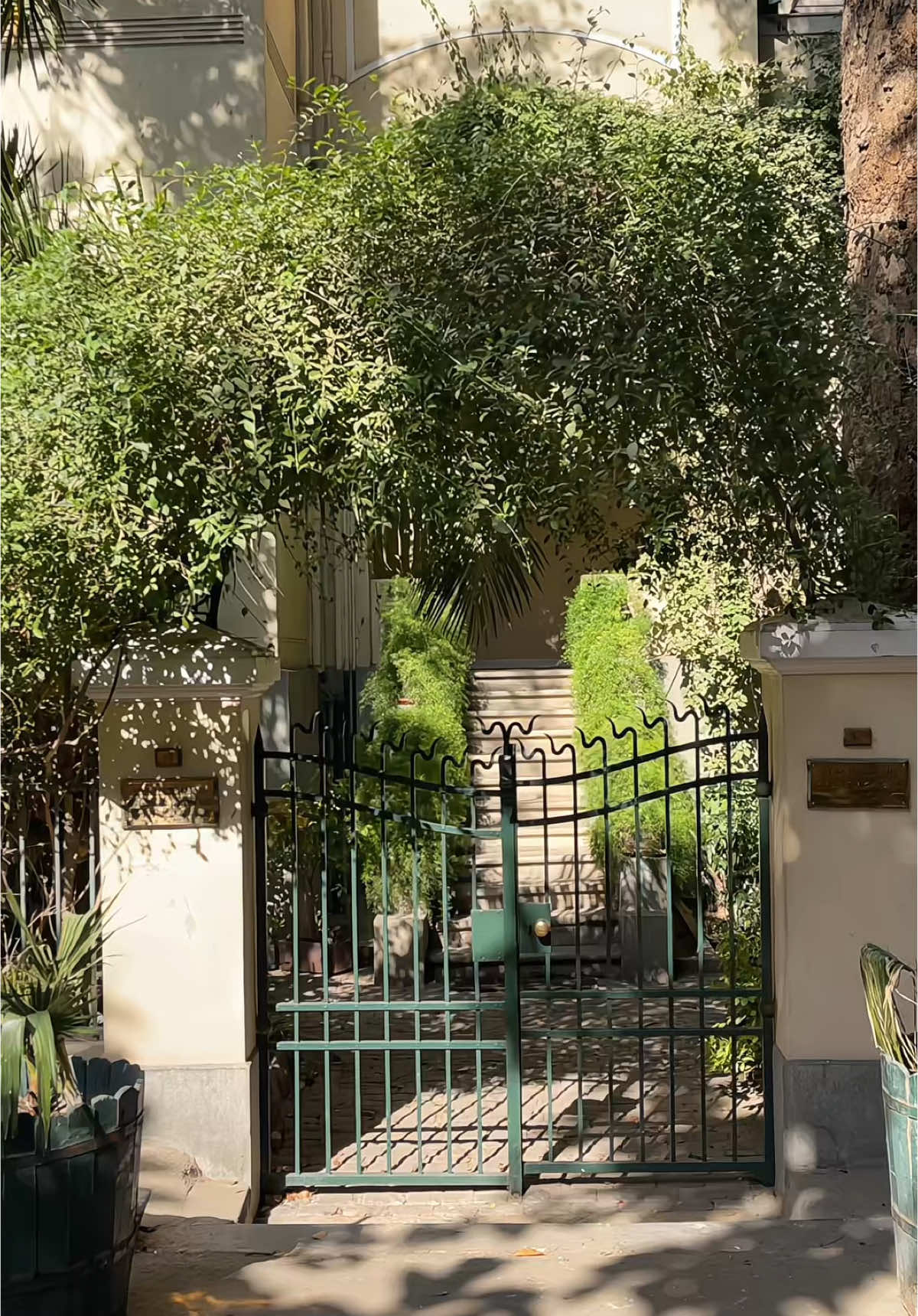 walking morning around Zamalek 🤍✨ #cairo #zamalek #cinematic #oldcairo #street #storytime #morningvibes 