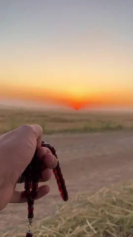 🎶 #lhewiy47_ 