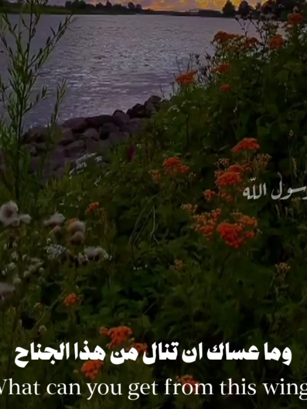 انك في الدنيا عابر سبيل 🤍 #كلام_من_ذهب #عبارات #fypシ  #لا_اله_الا_الله_محمد_رسول_الله  #استوريهات #اقتباسات #foryou 