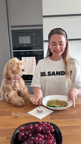 CHI LA FA, L’ASPETTI… #maltipoo 