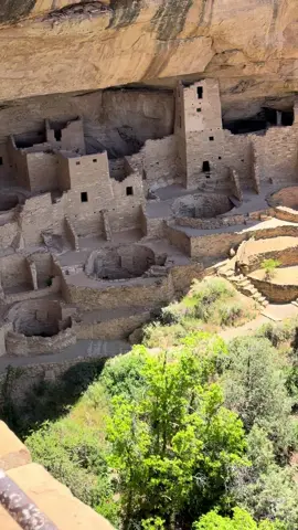 Cliff Palace from above #cliffpalace #mesaverde #pueblo #cliffdwellings #nationalpark #outside #Outdoors #desert #nativeamericanhistory #colorado 