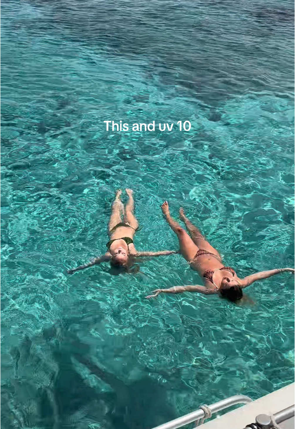 🤍🌊✨🐚🐋 