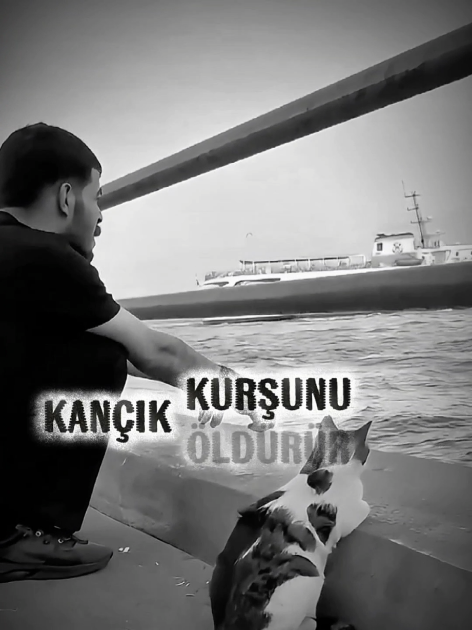 Erkek adamın kurşunu bîzî vurmaz  Bîzî öldürse öldürse kançık kurşunu öldürür... #çirkinkral #yılmazgüney #çirkinzaza #zaza #keşfetteyizzz 