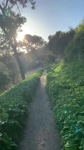 Morning walks in So Cal 🤗 #10ksteps #LA